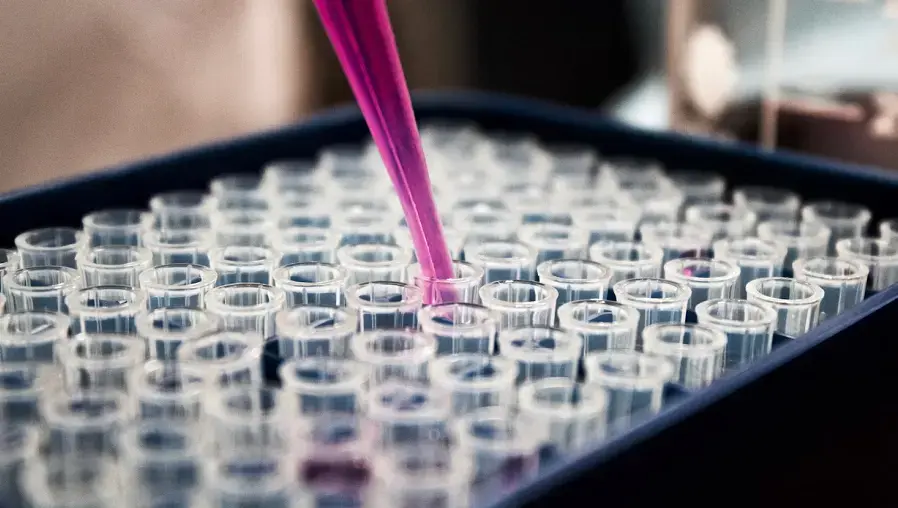 Anthropic inaugura laboratório de pesquisa em biologia utilizando IA